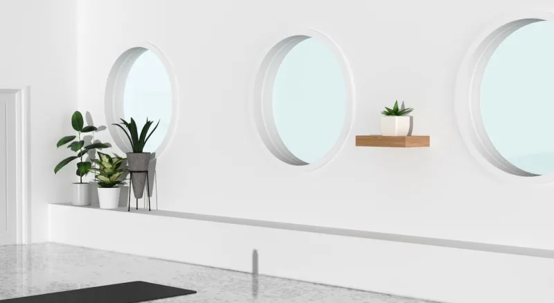 Related to free vs pro: which map your cash plan is right for you?